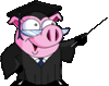 Pig Teacher